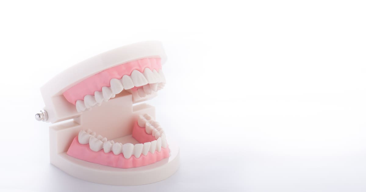 3Dプリンター　歯科